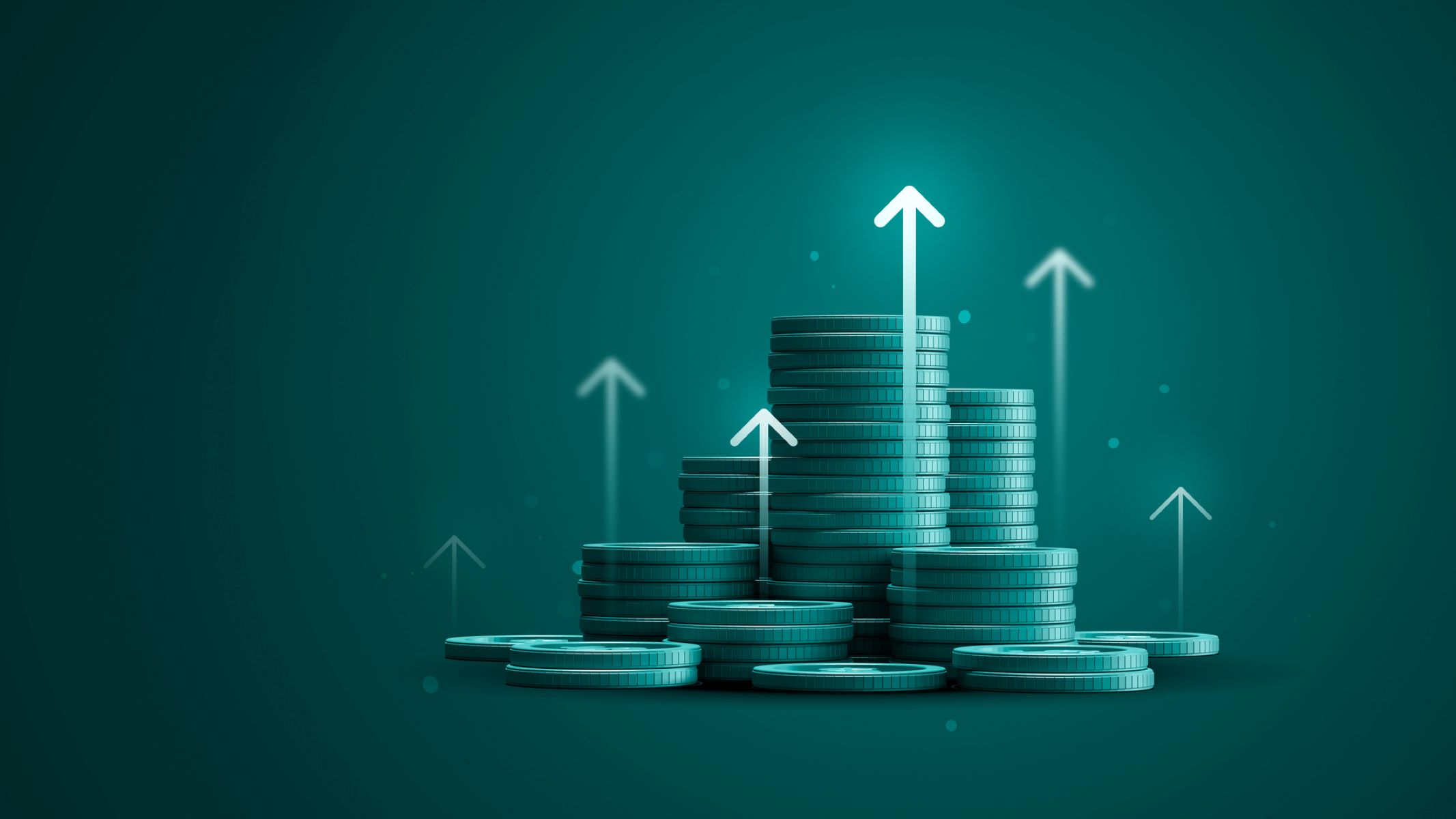 Capital Investment